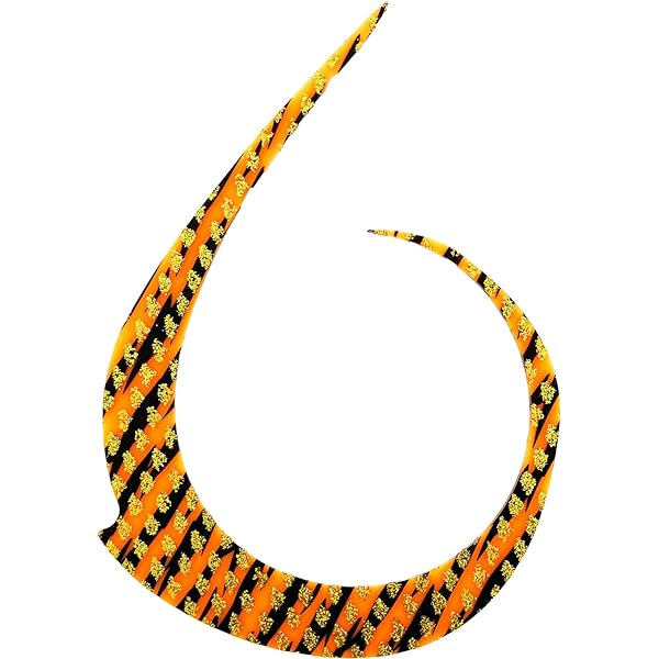 Amazon.co.jp: [ロックリンク] Brizm (ブリズム) EZカーリー カラマン